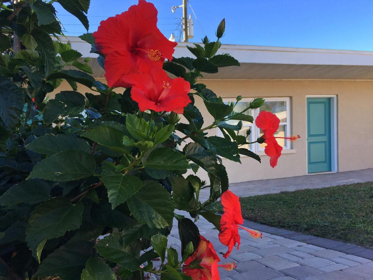 The Catalina Motel ลากูนาบีช ภายนอก รูปภาพ